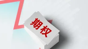 期权及期权投资(期权投资的优缺点)_https://www.xmqjcw.com_期货百科_第1张
