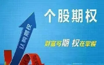 个股期权是指什么(个股期权是什么意思)_https://www.xmqjcw.com_期货百科_第1张