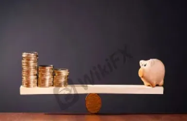 外汇的杠杆一般是多少(外汇的杠杆比率各有什么意义)_https://www.xmqjcw.com_期货百科_第1张