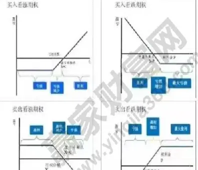 原始股和期权区别(期权股和原始股有什么区别)_https://www.xmqjcw.com_期货百科_第1张