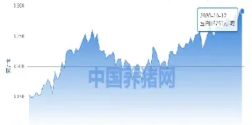今日豆粕期货最新价格涨跌(美国豆粕期货最新价格)_https://www.xmqjcw.com_期货百科_第1张