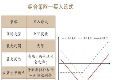 进口商外汇的期权组合是什么(什么是外汇期权合约)_https://www.xmqjcw.com_期货百科_第1张
