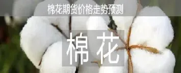 棉花期货怎么算(棉花期货看哪个)_期货百科_第1张_秦聚理财 棉花期货怎么算(棉花期货看哪个)_https://www.xmqjcw.com_期货百科_第1张
