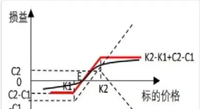 看涨期权收益计算公式(看涨期权怎么算收益)_https://www.xmqjcw.com_期货百科_第1张