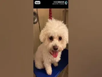 期货大小周期转换的秘密(期货小周期大均线)_https://www.xmqjcw.com_期货百科_第1张