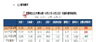 生猪期货行情最新价(生猪期货最新行情)_期货百科_第1张_秦聚理财 生猪期货行情最新价(生猪期货最新行情)_https://www.xmqjcw.com_期货百科_第1张