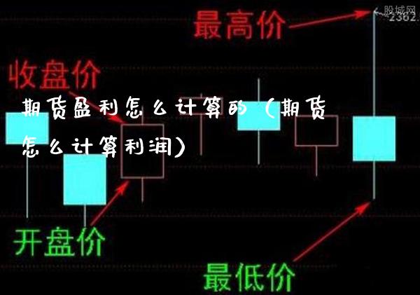 期货盈利怎么计算的（期货怎么计算利润）_https://www.xmqjcw.com_期货投资_第1张