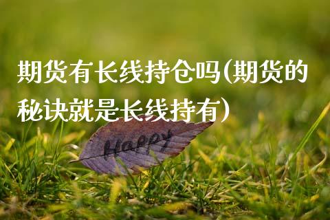 期货有长线持仓吗(期货的秘诀就是长线持有)_https://www.xmqjcw.com_期货直播室_第1张