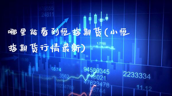 哪里能看到恒指期货(小恒指期货行情最新)_https://www.xmqjcw.com_期货百科_第1张