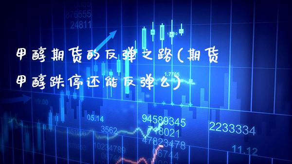 甲醇期货的反弹之路(期货甲醇跌停还能反弹么)_https://www.xmqjcw.com_股票投资_第1张