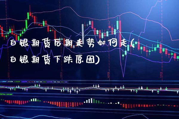 白银期货后期走势如何走(白银期货下跌原因)_https://www.xmqjcw.com_期货百科_第1张