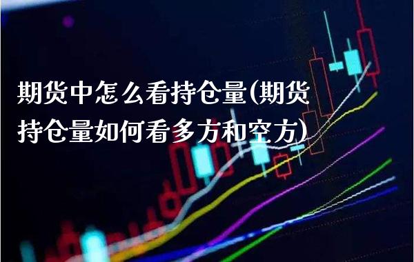 期货中怎么看持仓量(期货持仓量如何看多方和空方)_https://www.xmqjcw.com_基金理财_第1张