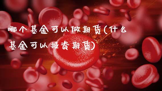 哪个基金可以做期货(什么基金可以投资期货)_https://www.xmqjcw.com_期货开户_第1张