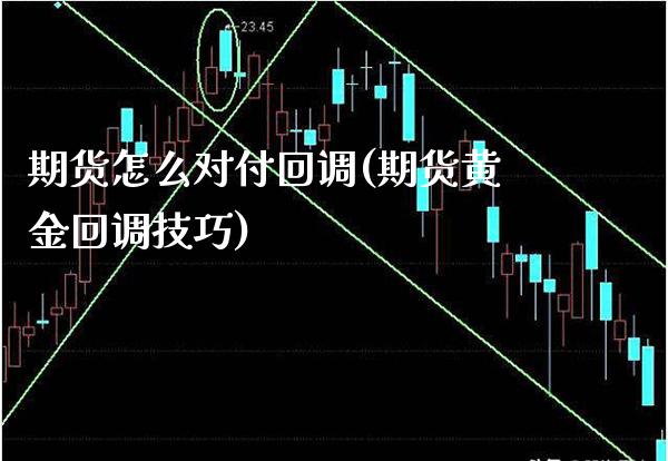 期货怎么对付回调(期货黄金回调技巧)_https://www.xmqjcw.com_期货百科_第1张