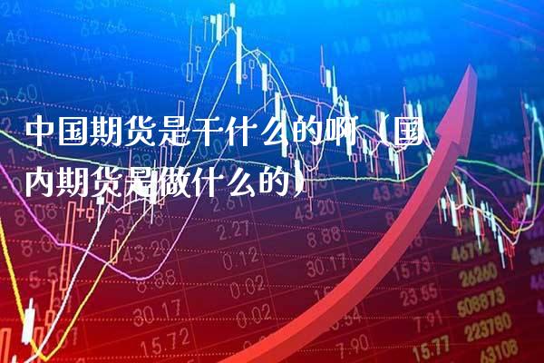 中国期货是干什么的啊（国内期货是做什么的）_https://www.xmqjcw.com_期货投资_第1张