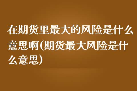 在期货里最大的风险是什么意思啊(期货最大风险是什么意思)_https://www.xmqjcw.com_期货行情_第1张