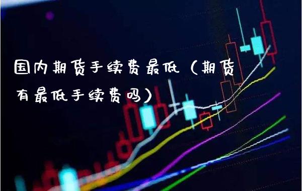 国内期货手续费最低（期货有最低手续费吗）_https://www.xmqjcw.com_期货投资_第1张