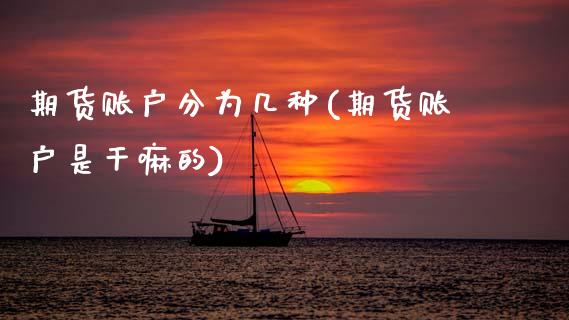 期货账户分为几种(期货账户是的)_https://www.xmqjcw.com_期货开户_第1张