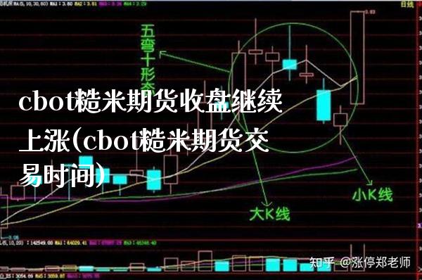 cbot糙米期货收盘继续上涨(cbot糙米期货交易时间)_https://www.xmqjcw.com_期货百科_第1张