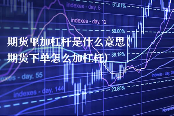 期货里加杠杆是什么意思(期货下单怎么加杠杆)_https://www.xmqjcw.com_期货百科_第1张