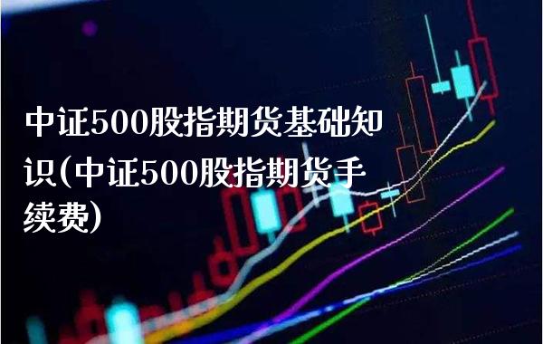 中证500股指期货基础知识(中证500股指期货手续费)_https://www.xmqjcw.com_期货百科_第1张
