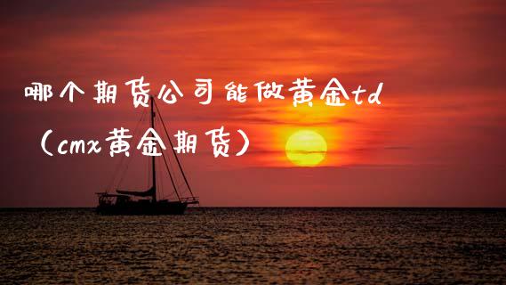哪个期货公司能做黄金td（cmx黄金期货）_https://www.xmqjcw.com_期货直播室_第1张
