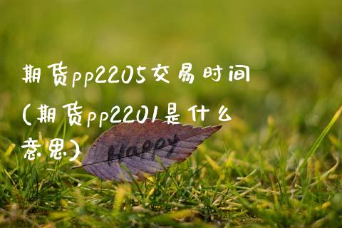 期货pp2205交易时间(期货pp2201是什么意思)_https://www.xmqjcw.com_基金理财_第1张