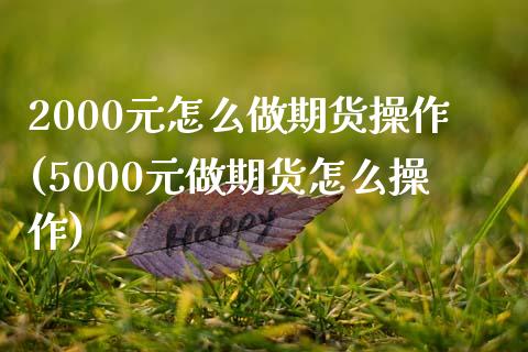 2000元怎么做期货操作(5000元做期货怎么操作)_https://www.xmqjcw.com_期货投资_第1张