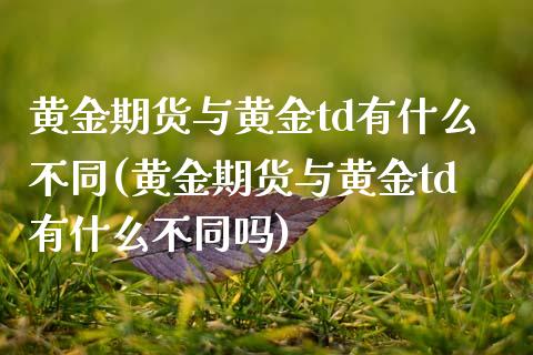黄金期货与黄金td有什么不同(黄金期货与黄金td有什么不同吗)_https://www.xmqjcw.com_股票投资_第1张