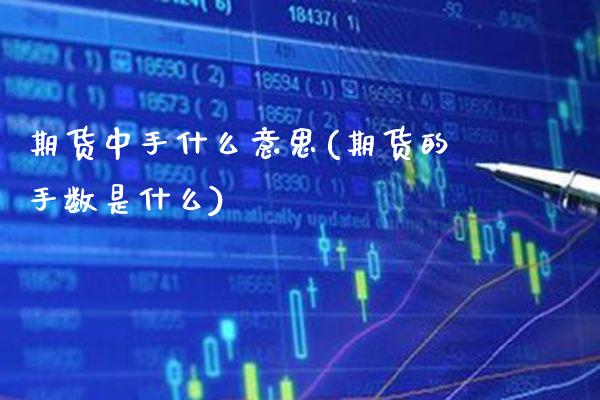 期货中手什么意思(期货的手数是什么)_https://www.xmqjcw.com_股票投资_第1张