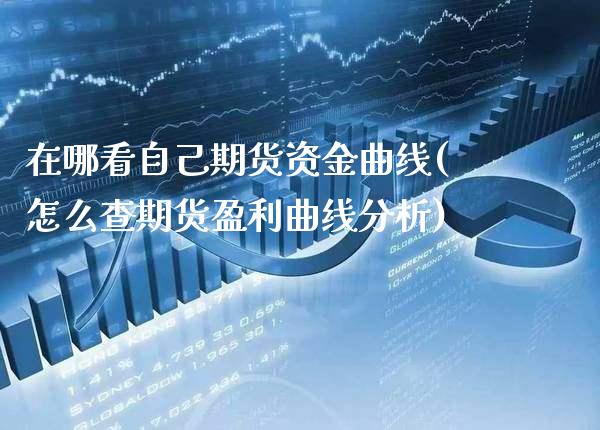 在哪看自己期货资金曲线(怎么查期货盈利曲线分析)_https://www.xmqjcw.com_期货百科_第1张