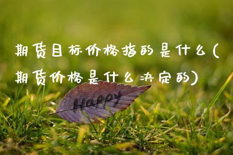 期货目标价格指的是什么(期货价格是什么决定的)_https://www.xmqjcw.com_期货直播室_第1张