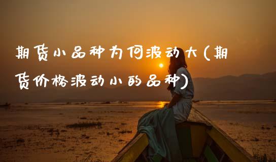 期货小品种为何波动大(期货价格波动小的品种)_https://www.xmqjcw.com_期货百科_第1张