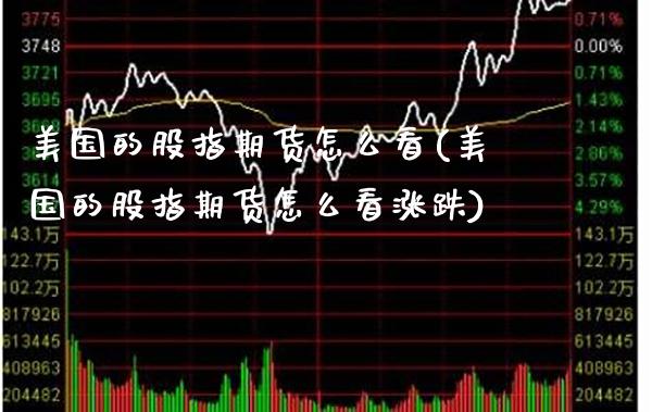 美国的股指期货怎么看(美国的股指期货怎么看涨跌)_https://www.xmqjcw.com_期货投资_第1张