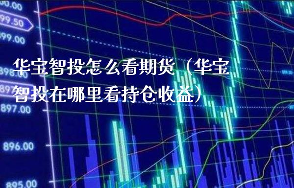 华宝智投怎么看期货（华宝智投在哪里看持仓收益）_https://www.xmqjcw.com_期货直播室_第1张