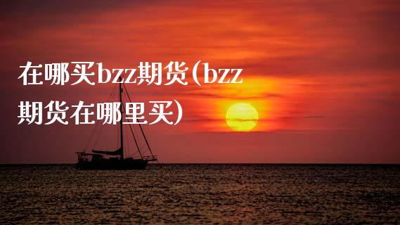 在哪买bzz期货(bzz期货在哪里买)_https://www.xmqjcw.com_期货行情_第1张