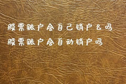 股票账户会自己销户么吗 股票账户会自动销户吗_https://www.xmqjcw.com_股票投资_第1张
