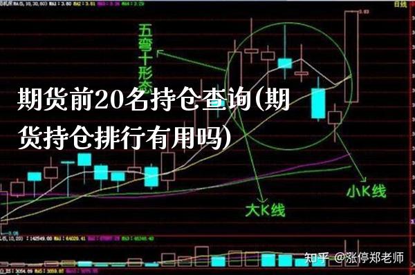 期货前20名持仓查询(期货持仓排行有用吗)_https://www.xmqjcw.com_期货百科_第1张
