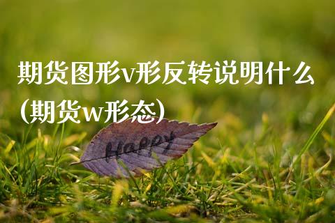 期货图形v形反转说明什么(期货w形态)_https://www.xmqjcw.com_基金理财_第1张