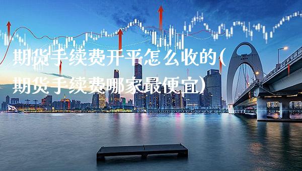 期货手续费开平怎么收的(期货手续费哪家最便宜)_https://www.xmqjcw.com_基金理财_第1张