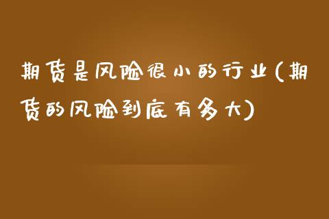 期货是风险很小的行业(期货的风险到底有多大)_https://www.xmqjcw.com_期货投资_第1张