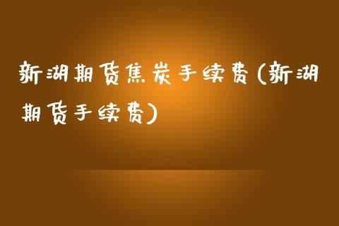 新湖期货焦炭手续费(新湖期货手续费)_https://www.xmqjcw.com_期货百科_第1张