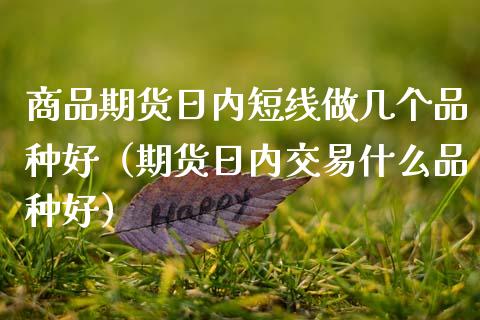 商品期货日内短线做几个品种好（期货日内交易什么品种好）_https://www.xmqjcw.com_期货投资_第1张