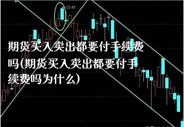 期货买入卖出都要付手续费吗(期货买入卖出都要付手续费吗为什么)_https://www.xmqjcw.com_期货行情_第1张