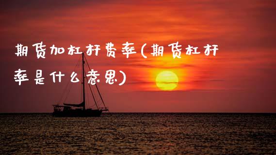期货加杠杆费率(期货杠杆率是什么意思)_https://www.xmqjcw.com_期货百科_第1张