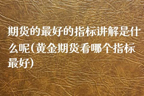 期货的最好的指标讲解是什么呢(黄金期货看哪个指标最好)_https://www.xmqjcw.com_期货投资_第1张