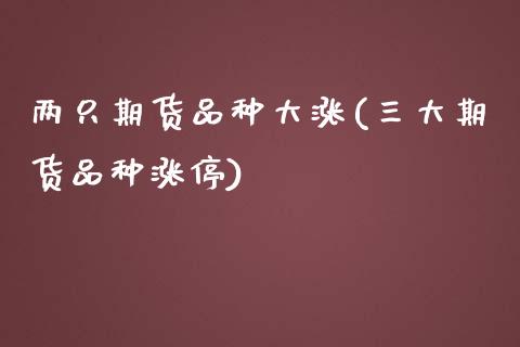 两只期货品种大涨(三大期货品种涨停)_https://www.xmqjcw.com_期货开户_第1张