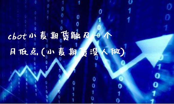 cbot小麦期货触及一个月低点(小麦期货没人做)_https://www.xmqjcw.com_期货百科_第1张