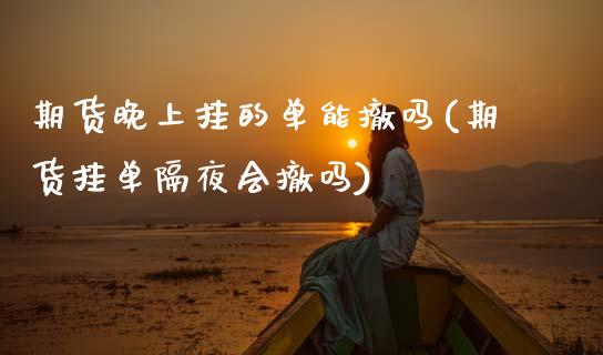 期货晚上挂的单能撤吗(期货挂单隔夜会撤吗)_https://www.xmqjcw.com_期货百科_第1张