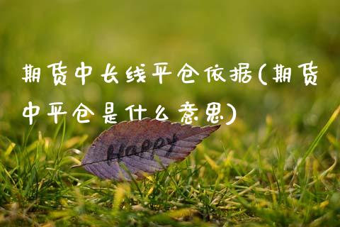 期货中长线平仓依据(期货中平仓是什么意思)_https://www.xmqjcw.com_基金理财_第1张